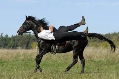 2014-10 warsztaty w Nowinie