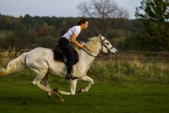 2014-pazdziernik-warsztaty-z-izabela-urbaniak-10