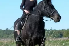 2014-pazdziernik-warsztaty-z-izabela-urbaniak-17