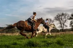 2014-pazdziernik-warsztaty-z-izabela-urbaniak-8