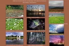 spotkanie-2015-01-10-3