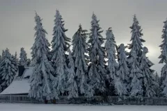 spotkanie-2015-12-18-17