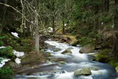 2015-czerwiec-samotnia-16