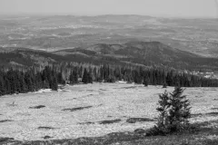 2015-czerwiec-samotnia-2