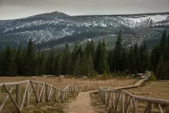 2015-czerwiec-samotnia-29