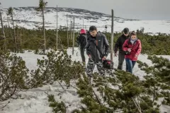 2015-czerwiec-samotnia-3