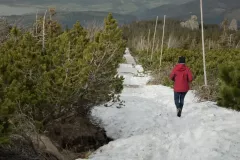 2015-czerwiec-samotnia-33