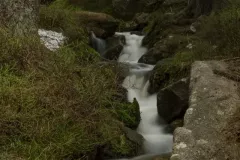 2015-czerwiec-samotnia-43