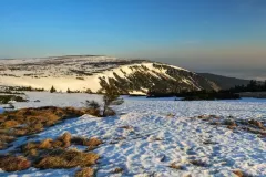 2015-czerwiec-samotnia-49