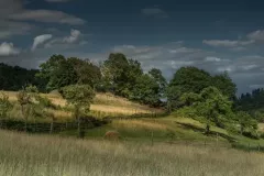 2015-lipiec-srebrna-gora-9