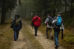 2015-pazdziernik-jesienne-malowanie-10