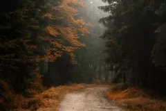 2015-pazdziernik-jesienne-malowanie-2