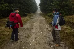 2015-pazdziernik-jesienne-malowanie-20