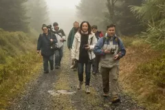 2015-pazdziernik-jesienne-malowanie-31