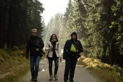 2015-pazdziernik-jesienne-malowanie-37