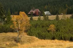 2015-pazdziernik-jesienne-malowanie-52