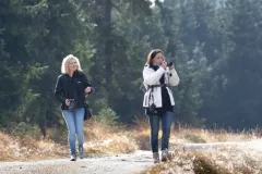 2015-pazdziernik-jesienne-malowanie-55