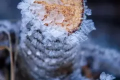 spotkanie-2016-01-29-11