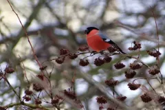 spotkanie-2016-01-29-19