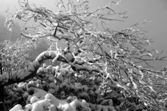 spotkanie-2016-01-29-20