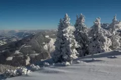 spotkanie-2016-01-29-29