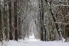 spotkanie-2016-01-29-30