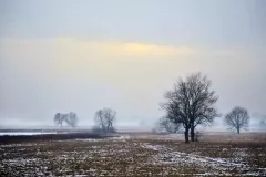 spotkanie-2016-01-29-31