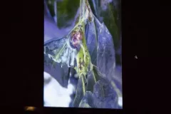 spotkanie-2016-02-26-12