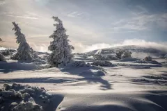 spotkanie-2016-02-26-16