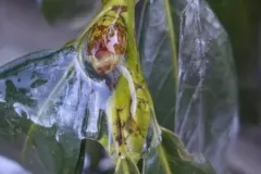 spotkanie-2016-02-26-17