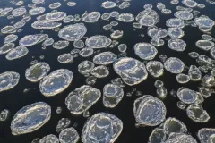 spotkanie-2016-02-26-19