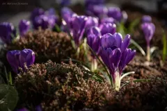 spotkanie-2016-04-01-10