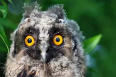 spotkanie-2016-04-01-12