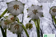 spotkanie-2016-04-01-16