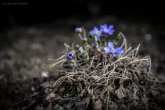 spotkanie-2016-04-01-19