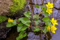 spotkanie-2016-04-01-2