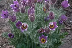 spotkanie-2016-04-01-22