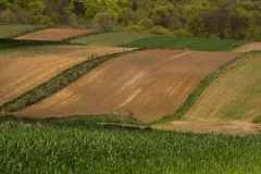 2016-kwiecien-lublin-i-roztocze-19