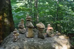 2016-sierien-czeski-film-12