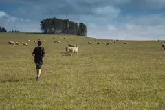 2016-sierien-czeski-film-23