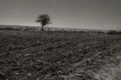 2016-sierpien-lazy-11