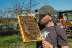 2016-sierpien-lazy-15