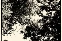 2016-sierpien-lazy-18