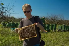 2016-sierpien-lazy-22