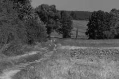 2016-sierpien-lazy-23