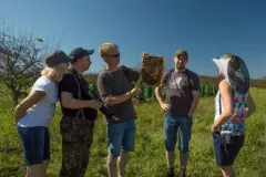 2016-sierpien-lazy-28