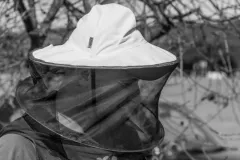 2016-sierpien-lazy-29