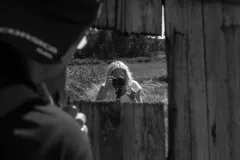 2016-sierpien-lazy-33