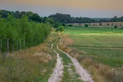 2016-sierpien-lazy-34