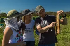 2016-sierpien-lazy-5